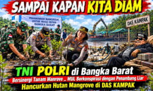 Mangrove di Das Kampak